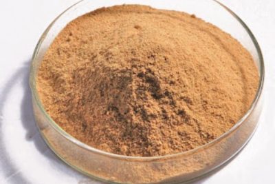 Bột gỗ nguyên liệu chất lượng cao dùng trong sản xuất phôi cửa nhựa composite