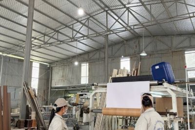 CUNG CẤP PHÔI CỬA COMPOSITE CHẤT LƯỢNG CAO